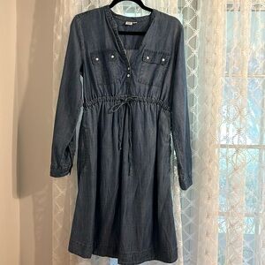 Gap Maternity Chambray dress
